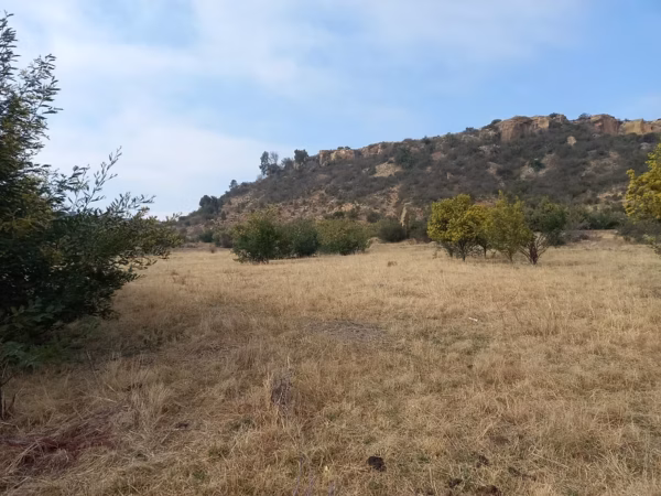 Vacant Land