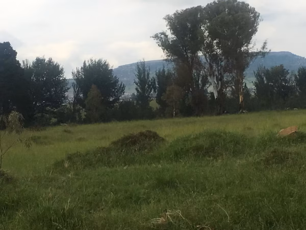 3 Plots